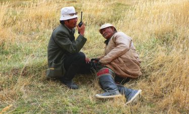 Beobachtung des Gobi Bären
