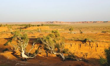 Glühende Felsen bei Bayanzag