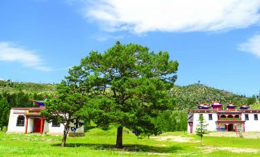 Kloster Baldan Bereeven