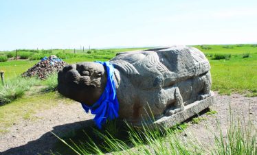Schildkröte bei Harhorin
